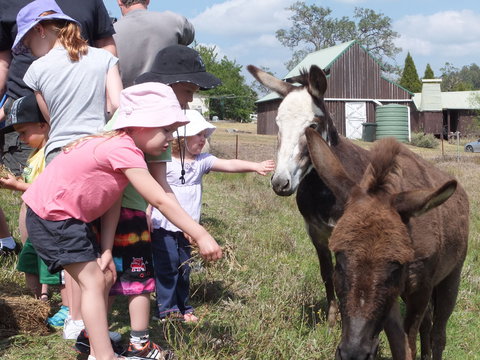 Barkeldine Farm Country Retreat - Tourism Caloundra 2