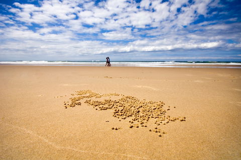 BIG4 Nambucca Beach Holiday Park - Tourism Caloundra 1