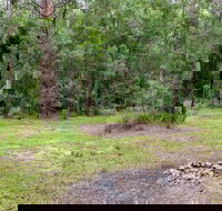 Blue Gum Flat campground - Tourism Caloundra