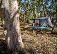 Boomeri campground - Tourism Caloundra