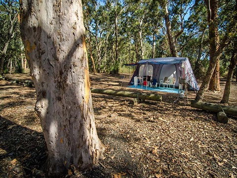 Boomeri Campground - Tourism Caloundra 0