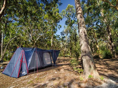 Boomeri Campground - Tourism Caloundra 1