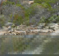 Boondi Rock Camp at Goldfields Woodlands National Park - Tourism Caloundra