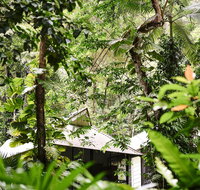 Daintree Ecolodge - Tourism Caloundra
