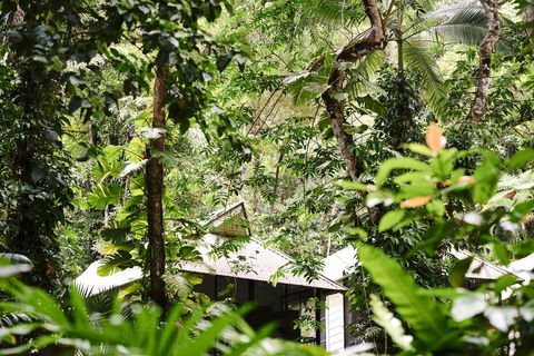 Daintree Ecolodge - Tourism Caloundra 0