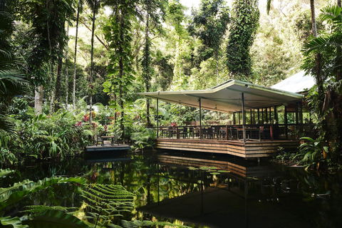 Daintree Ecolodge - Tourism Caloundra 1
