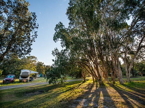 Delicate Campground - Tourism Caloundra 0