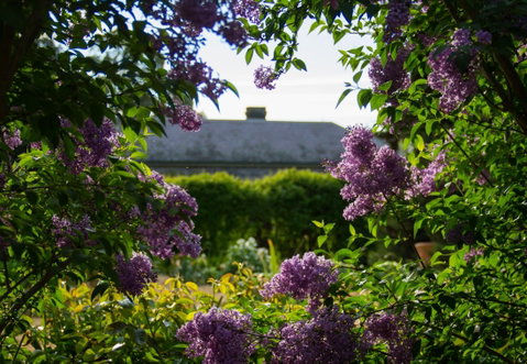 Eurambeen Historic Homestead And Gardens - Tourism Caloundra 1
