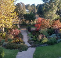 Glenhope Alpacas Bed and Breakfast - Tourism Caloundra