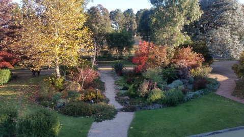 Glenhope Alpacas Bed And Breakfast - Tourism Caloundra 0