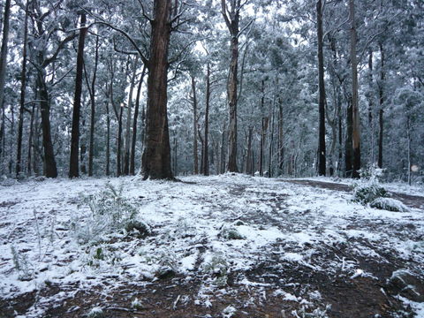 High Peaks Cottages - Tourism Caloundra 0
