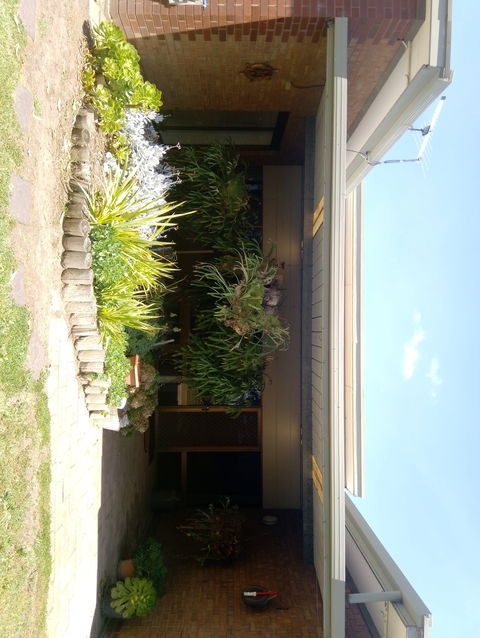 Hilltop Escape B&B - Tourism Caloundra 0