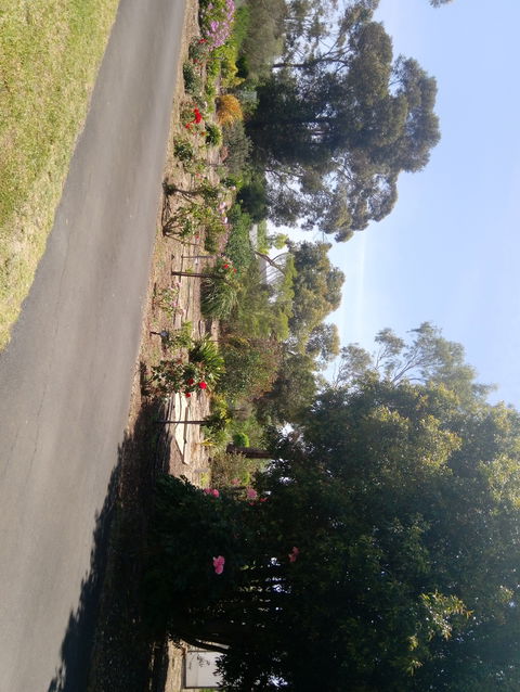 Hilltop Escape B&B - Tourism Caloundra 1