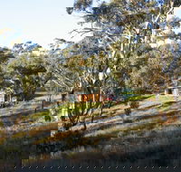 Molly's Chase - Tourism Caloundra