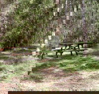 Mulloon Creek campground - Tourism Caloundra