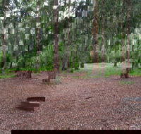 Murphys Glen campground - Tourism Caloundra
