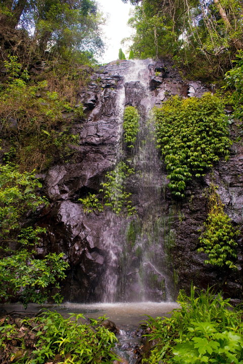 Nimbin Waterfall Retreat - Tourism Caloundra 0