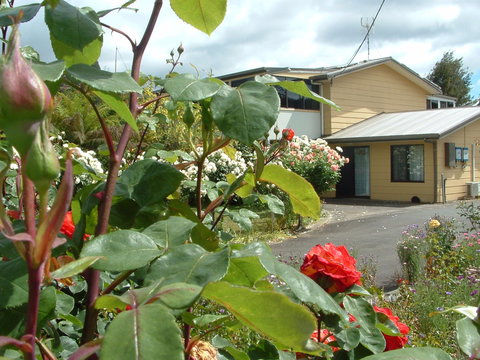 North East Restawhile Bed And Breakfast - Tourism Caloundra 1