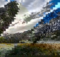 Nunnock campground - Tourism Caloundra