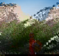 Sandstone Park Carnarvon Gorge - Tourism Caloundra