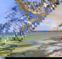 Shoal Cape Camp at Stokes National Park - Tourism Caloundra