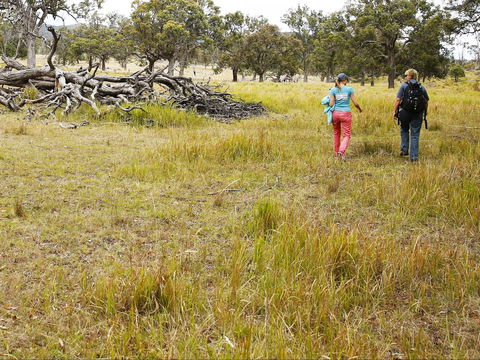 Sundown National Park Camping - Tourism Caloundra 2