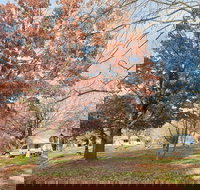 Tumbarumba Caravan Park - Tourism Caloundra