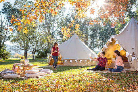 Valley View Glamping - Tourism Caloundra 0