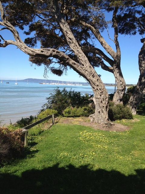 WhiteCliffs To Camerons Bight Foreshore Reserve - Tourism Caloundra 2
