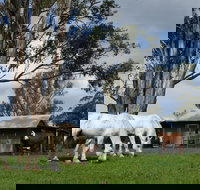 Woodenbong B and B - Tourism Caloundra