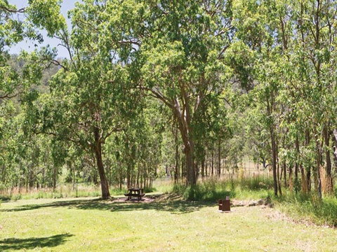 Youdales Hut Campground And Picnic Area - Tourism Caloundra 0