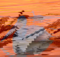 4 Pelican Court - River Shack Rentals - Tourism Caloundra