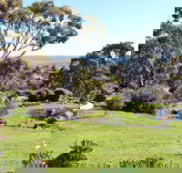 Austiny Bed and Breakfast - Tourism Caloundra