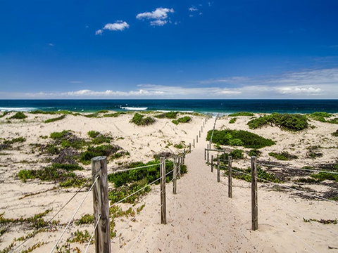 Banksia Green Campground - Tourism Caloundra 2