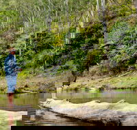 Bass Lodge - Tourism Caloundra