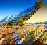 Beachport Caravan Park - Tourism Caloundra