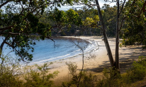 Beaupre Farm - Tourism Caloundra 1