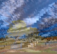 Bulwara Farmhouse - Tourism Caloundra