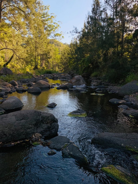 Cave Rock Cottages - Tourism Caloundra 0