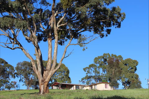 Clare View Accommodation - Clare View Cottage - Tourism Caloundra 2