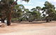 Cleve Showgrounds RV Park - thumb 1