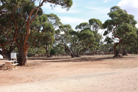 Cleve Showgrounds RV Park - Tourism Caloundra 1