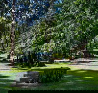 Dingo Tops campground - Tourism Caloundra