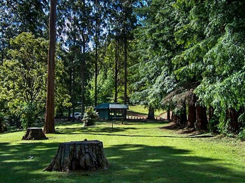 Dingo Tops Campground - Tourism Caloundra 0