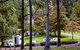 Dingo Tops Campground - thumb 2