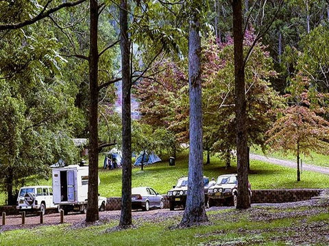 Dingo Tops Campground - Tourism Caloundra 2