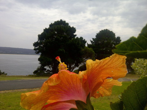 Eden Oceanview - Tourism Caloundra 1