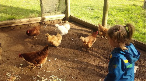 Emerald Park Holiday Farm - Tourism Caloundra 2