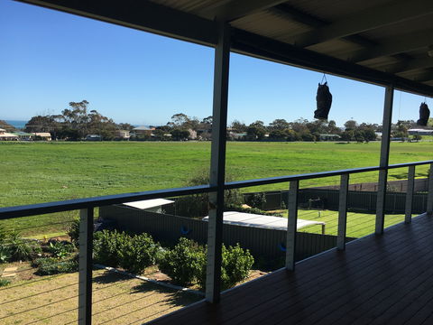 Falcon Blue - Tourism Caloundra 1