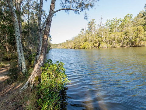 Ferny Creek Campground - Tourism Caloundra 0